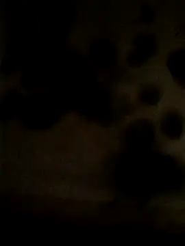 Leocesar37 online show from May 2026 02:23:01 PM