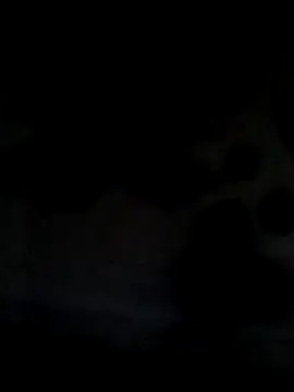 Leocesar37 online show from June 2026 05:43:01 AM