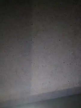 Leocesar37 online show from July 2026 08:06:01 AM