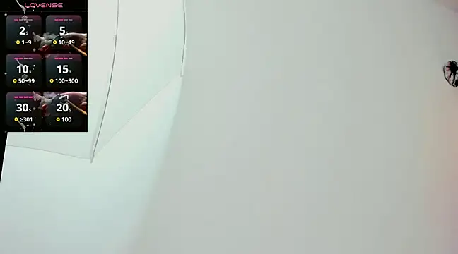 Erick Zhimerman online show from February 2025 09:53:02 AM