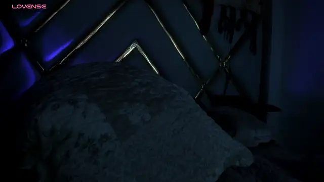 Snapshot of LaurenHu chatting on January 2025 09:41:01 AM LaurenHu online show from January 2025 09:41:01 AM