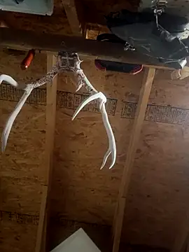 Snapshot of dcockell chatting on October 2025 04:01:02 AM dcockell online show from October 2025 04:01:02 AM