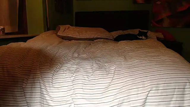 Snapshot of MASTERBULLY chatting on February 2025 11:36:01 PM MASTERBULLY online show from February 2025 11:36:01 PM