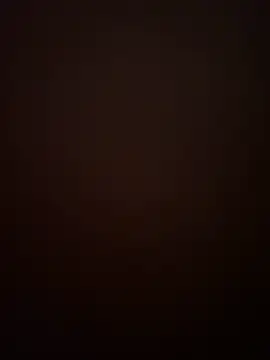 Snapshot of Sensolyss chatting on December 2024 10:18:01 PM Sensolyss online show from December 2024 10:18:01 PM