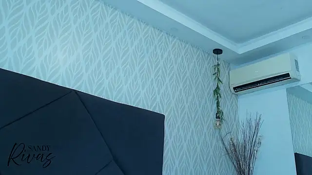 Snapshot of sandy_rivas chatting on March 2026 12:20:01 PM sandy rivas online show from March 2026 12:20:01 PM