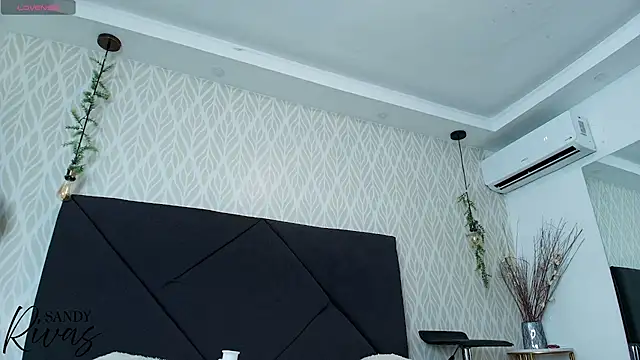 Snapshot of sandy_rivas chatting on July 2026 11:59:01 AM sandy rivas online show from July 2026 11:59:01 AM