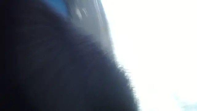 esjrobles online show from July 2026 03:55:01 PM