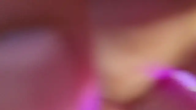 haileycat online show from September 2025 11:50:02 PM