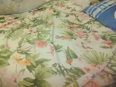 Snapshot of akrep071507 chatting on December 2024 11:07:01 PM akrep071507 online show from December 2024 11:07:01 PM