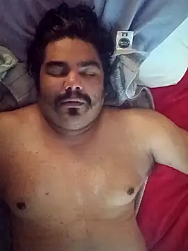 Brickstash online show from October 2025 03:02:02 PM