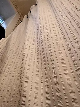 Brickstash online show from November 2025 01:10:02 PM