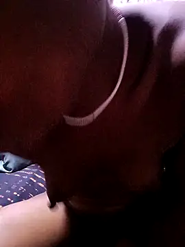 Snapshot of TastyAfrica chatting on November 2025 02:52:02 PM TastyAfrica online show from November 2025 02:52:02 PM