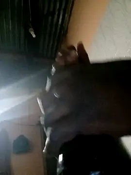 Snapshot of TastyAfrica chatting on February 2026 05:28:01 PM TastyAfrica online show from February 2026 05:28:01 PM