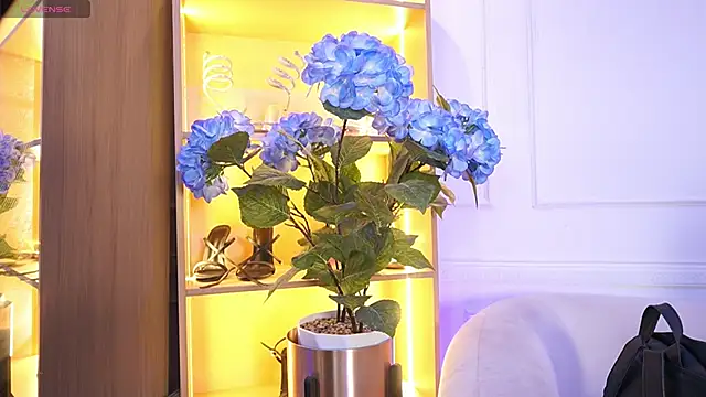 Snapshot of elasummer chatting on December 2025 12:12:01 PM elasummer online show from December 2025 12:12:01 PM