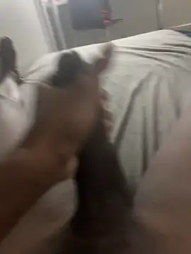 arrete2025 online show from February 2025 01:08:02 PM