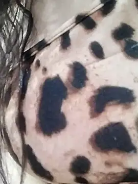 Snapshot of Cristina_sexy_maroc chatting on January 2026 11:47:02 PM Cristina sexy maroc online show from January 2026 11:47:02 PM