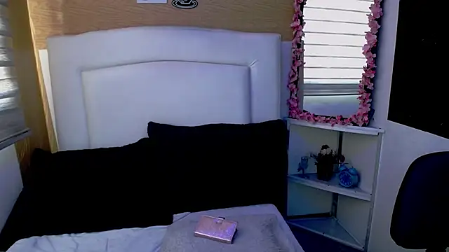 Snapshot of palmer_mIix chatting on December 2024 01:17:01 PM palmer mIix online show from December 2024 01:17:01 PM