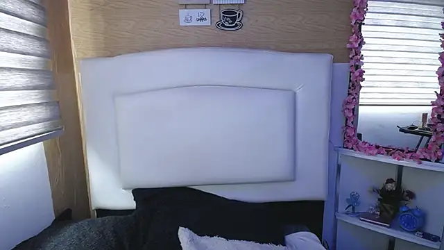 Snapshot of palmer_mIix chatting on March 2025 03:35:01 PM palmer mIix online show from March 2025 03:35:01 PM