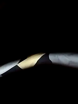 delhiboyooo online show from January 2025 07:55:02 AM