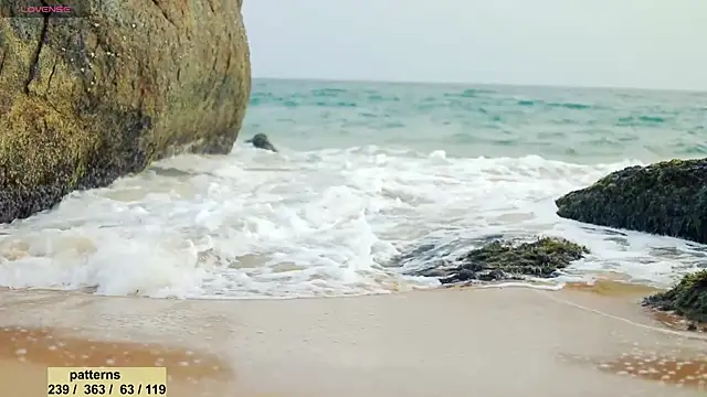  sex in paradise  online show from January 2025 11:43:02 PM