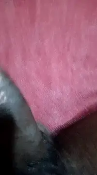 Snapshot of FuckMeNice24 chatting on December 2024 08:29:01 PM FuckMeNice24 online show from December 2024 08:29:01 PM