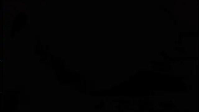 frankie7inch online show from June 2026 02:36:02 AM
