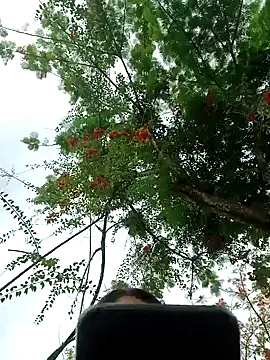 Snapshot of Karol-kamila19 chatting on December 2024 09:01:01 PM Karol-kamila19 online show from December 2024 09:01:01 PM