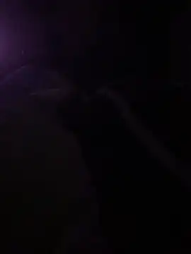 Snapshot of solomec chatting on March 2025 10:26:01 PM solomec online show from March 2025 10:26:01 PM