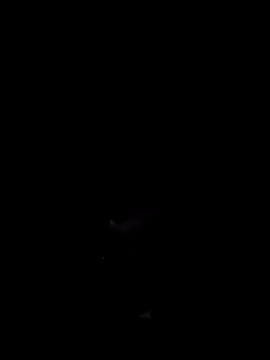 Snapshot of Donstark6669 chatting on January 2025 09:50:02 AM Donstark6669 online show from January 2025 09:50:02 AM