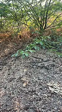 tamil000000 online show from March 2025 01:56:01 AM