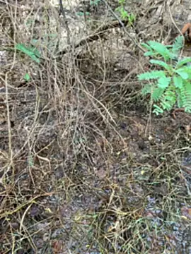 tamil000000 online show from March 2025 01:27:02 AM