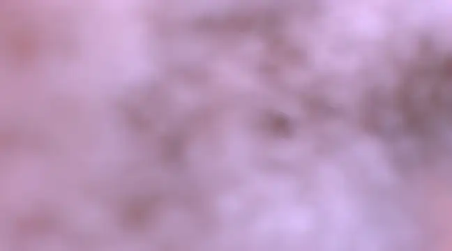 Snapshot of bubble_red chatting on February 2025 04:47:01 AM bubble red online show from February 2025 04:47:01 AM