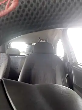 Snapshot of Gordinho_quietinho chatting on January 2025 11:26:01 AM Gordinho quietinho online show from January 2025 11:26:01 AM