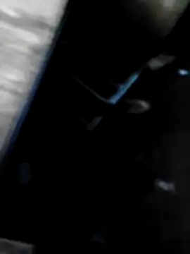 1Totti555 online show from November 2025 07:58:01 AM