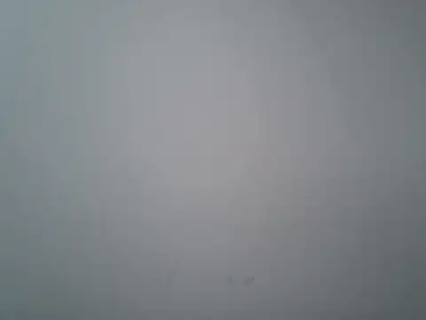 Snapshot of lovedoggy03 chatting on January 2026 01:05:02 PM lovedoggy03 online show from January 2026 01:05:02 PM