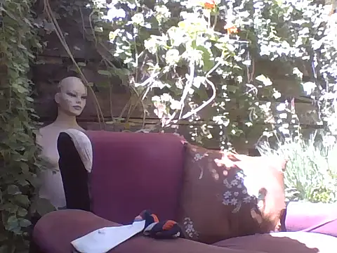 Snapshot of sweetbabyass chatting on March 2025 04:51:02 PM sweetbabyass online show from March 2025 04:51:02 PM