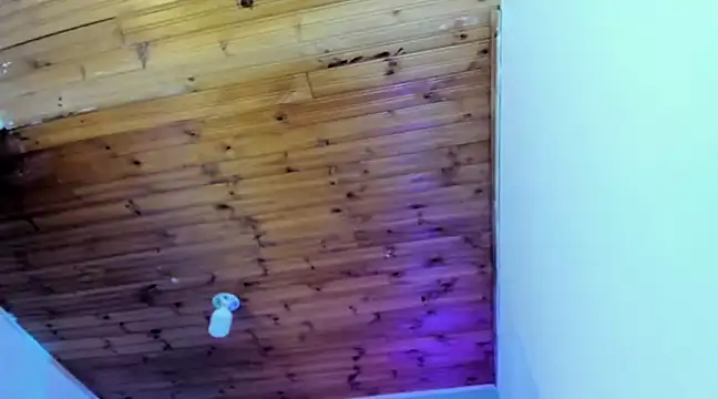 Snapshot of Namiko_Park chatting on January 2025 04:02:02 PM Namiko Park online show from January 2025 04:02:02 PM