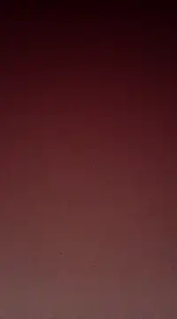 Sexy-Mona2 online show from December 2024 12:06:01 PM