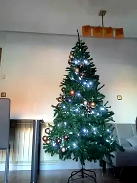 Snapshot of Ryan-hot chatting on December 2024 10:55:01 AM Ryan-hot online show from December 2024 10:55:01 AM