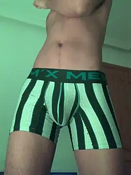 Snapshot of Ryan-hot chatting on February 2025 10:52:02 PM Ryan-hot online show from February 2025 10:52:02 PM