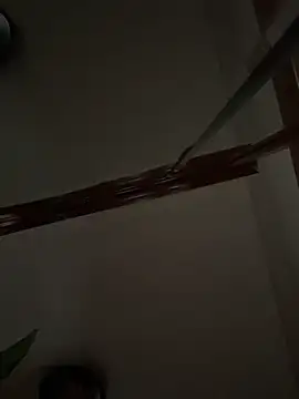 Snapshot of Ryan-hot chatting on February 2025 08:06:01 AM Ryan-hot online show from February 2025 08:06:01 AM