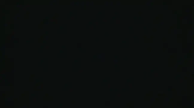 Snapshot of alansteer chatting on December 2024 10:49:02 AM alansteer online show from December 2024 10:49:02 AM