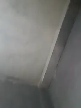 gerinwatch online show from March 2026 02:15:01 AM