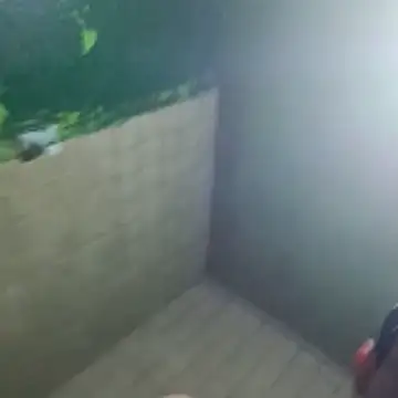 gerinwatch online show from March 2026 02:00:02 PM