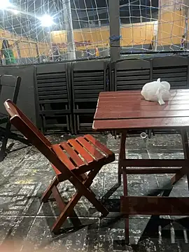 Snapshot of fejduyw1 chatting on February 2026 11:43:02 PM fejduyw1 online show from February 2026 11:43:02 PM