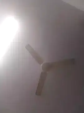 Snapshot of jenilmax chatting on December 2024 04:49:01 PM jenilmax online show from December 2024 04:49:01 PM