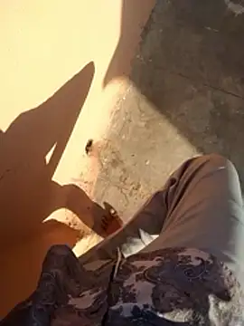 PracticalGum40 online show from January 2026 03:33:01 AM