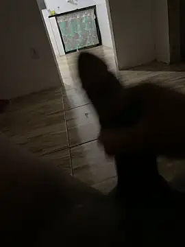 Snapshot of rodrigo21Cm_ chatting on January 2025 03:02:02 AM rodrigo21Cm online show from January 2025 03:02:02 AM