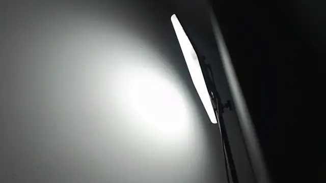 Tiffanny online show from February 2026 12:52:01 PM