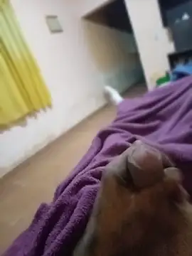 carloshot31 online show from March 2026 08:48:01 AM